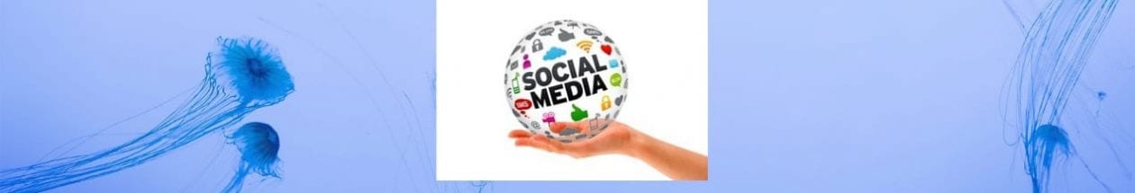Social Media Marketing From The Middle Age Perspective:  By Sandra Allen